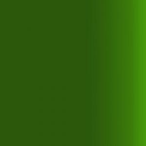 Createx Airbrush Colors Transparent Tropical Green, Gallon