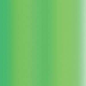 Createx Airbrush Colors Pearl Lime Ice, Gallon