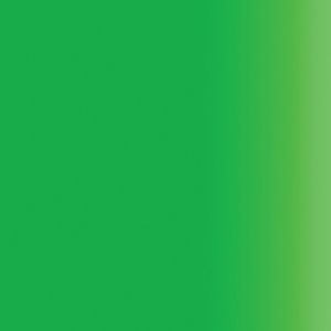 Createx Airbrush Colors Fluorescent Green, Gallon