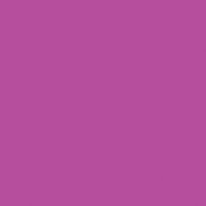 Createx Wicked Colors Fluorescent Purple, Gallon