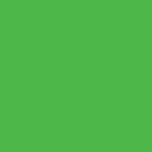 Createx Wicked Colors Fluorescent Green, Gallon