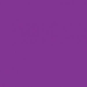 Createx Wicked Detail Colors Red Violet, Gallon