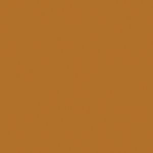 Createx Wicked Detail Colors Raw Sienna, Gallon