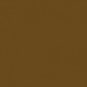 Createx Wicked Detail Colors Raw Umber, Gallon